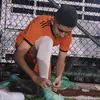 alaneek9