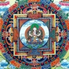 minhduc.tsheringnorbu