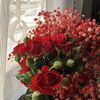 amina.jm3