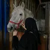 yasmeen_alzeer123