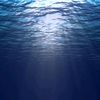 odel_nlp7