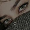 tulip0234