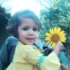 hamidbacha45