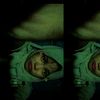 dhselvsg
