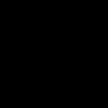 ernur7868