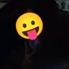 linglatelemon4