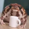 ktotu_0
