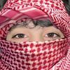 aleehamza304