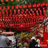 Tuấn Lê