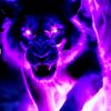 salem59103