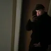 spinnen_gang2