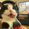 anonhacker7