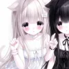 solo_swq