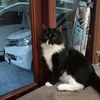 bondi.cat