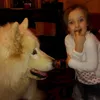 nikita..priv
