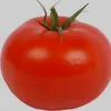 tomateverlenho1