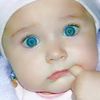 dihya658