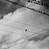 ahmedoff_ilkin