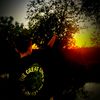karim_nassar_77