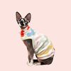 emme.pets