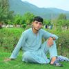 shamsuddin5294