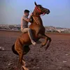 mohamad._alsaleh