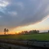 .soofii.0