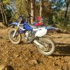 austin.tullos