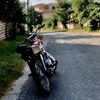 venx_o1