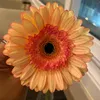 dpdave1