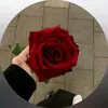 1_rrrrhh