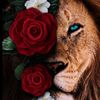 inspiring_photography