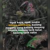 barudak_rosul_99_well
