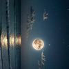 nahida.rashed1