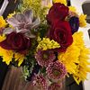 sunflower.ci