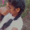 ima_zz2011