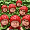 kjssr2