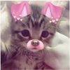 qsya._.mimi._.qsya