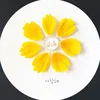 fatima.ma21