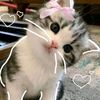 yumikoxettri12