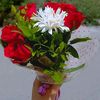 mariya.akter4610