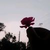 user907041054268