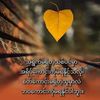 yan.naing8473