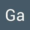 ga.s37