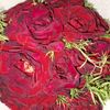 mohamedfarag5590
