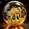 amir36228