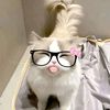 ayaa_kia123