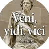 venividivici965