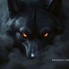 adeelabsmaryami72