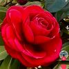 user38600205445580